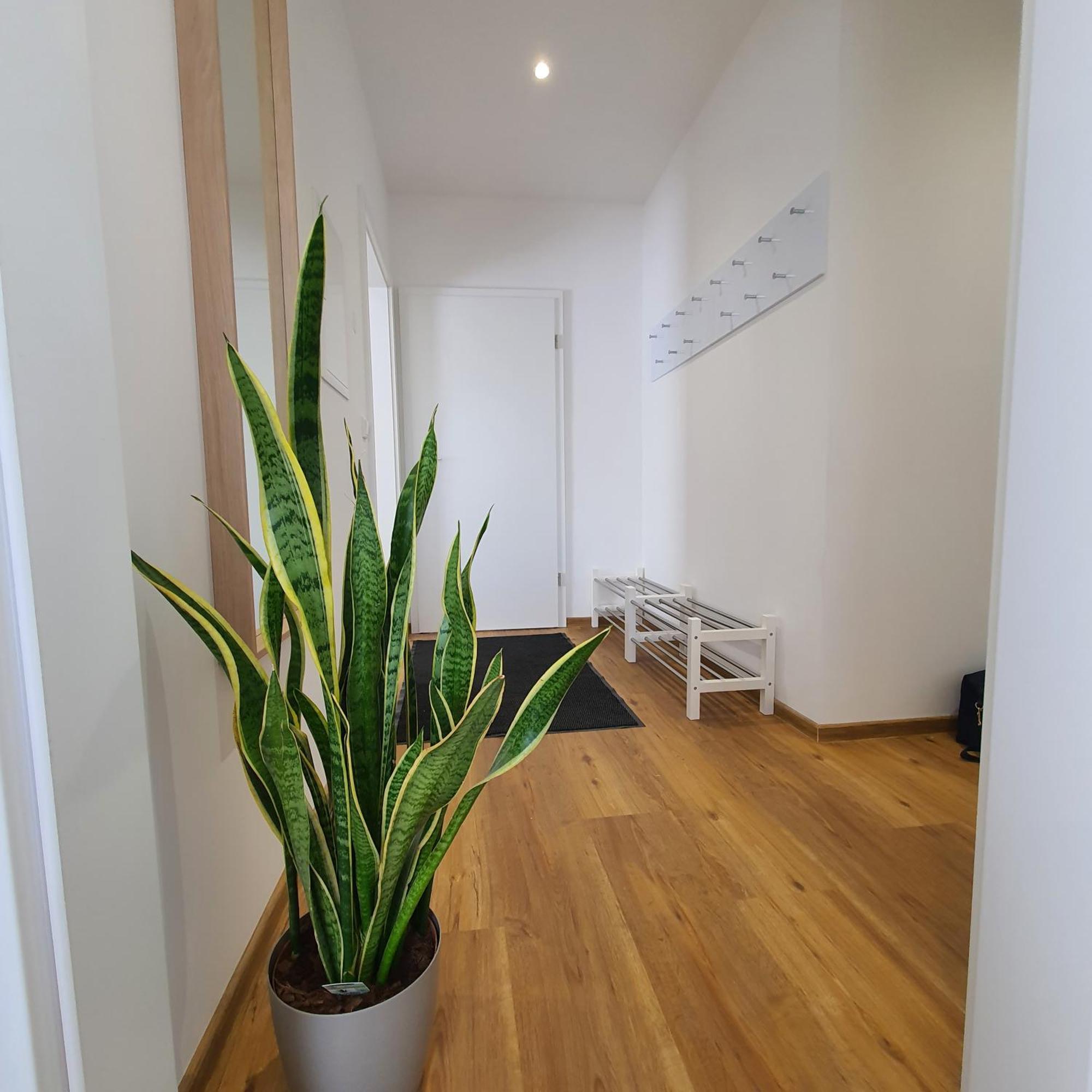 Laineckerstrasse 8 In 95445 Bayreuth Appartement Buitenkant foto